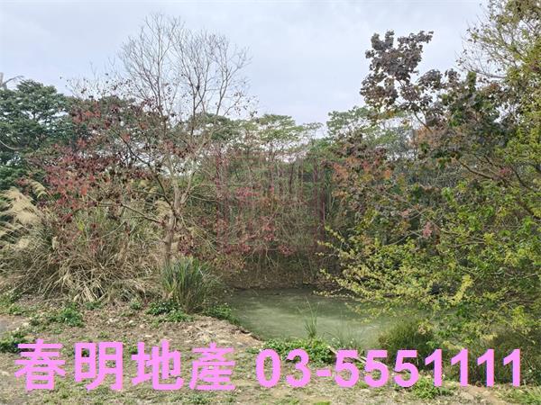 新竹農地-2