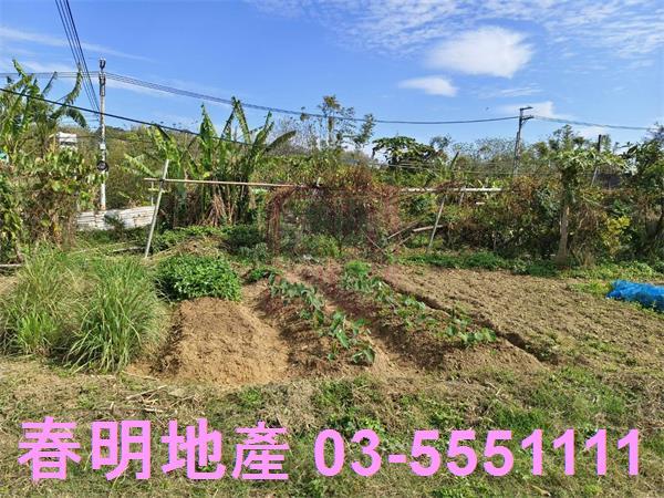寶山農地-12