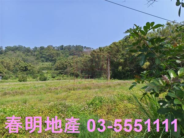 新竹峨眉農地-10