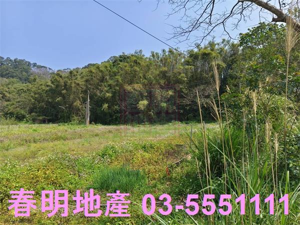 新竹峨眉農地-5
