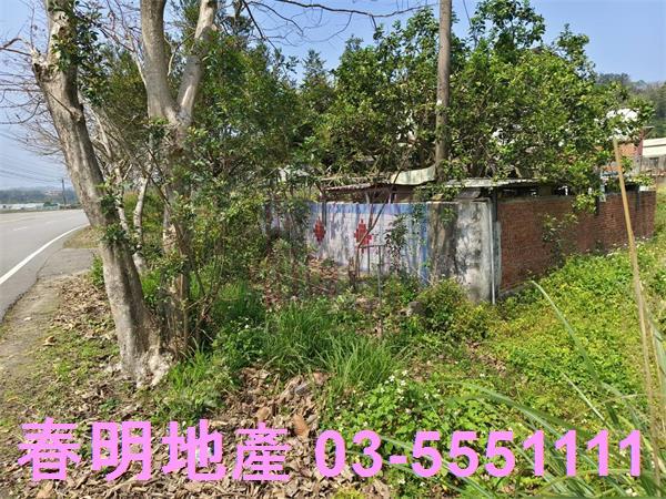 新竹峨眉農地-8