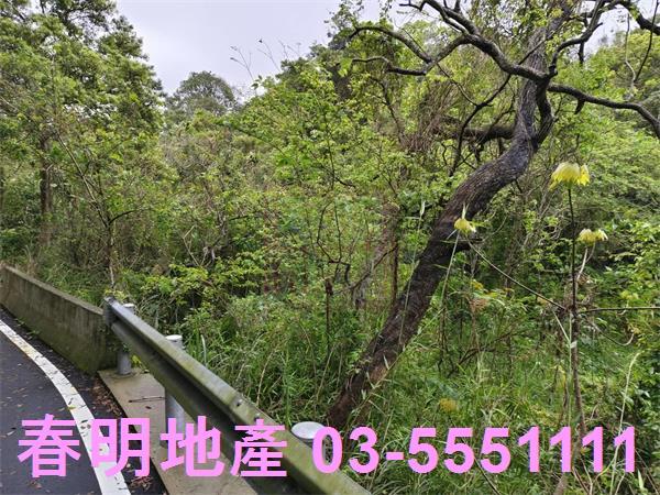 新竹峨眉農地-2
