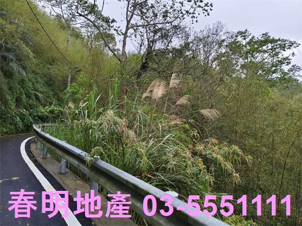 新竹峨眉農地-6