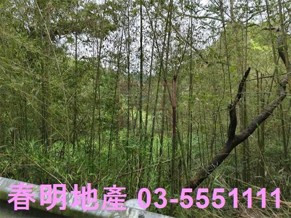 新竹峨眉農地-8