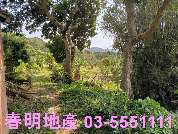 新竹農地-0