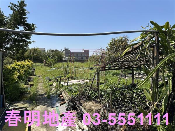 湖口農地-4