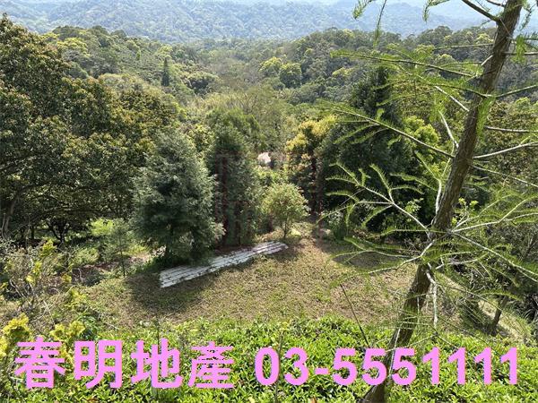 新竹關西林地-0
