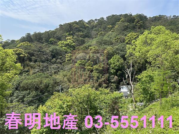 新竹關西林地-1