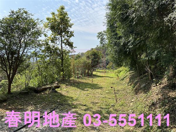 新竹關西林地-2
