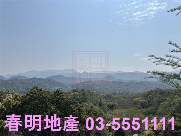 新竹關西林地-3