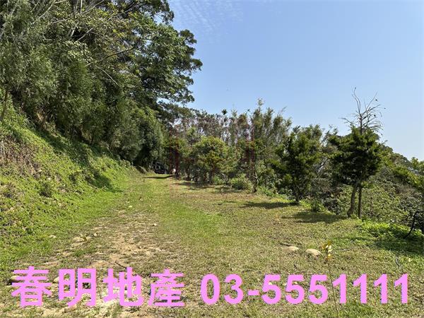 新竹關西林地-4