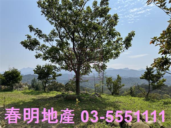 新竹關西林地-5