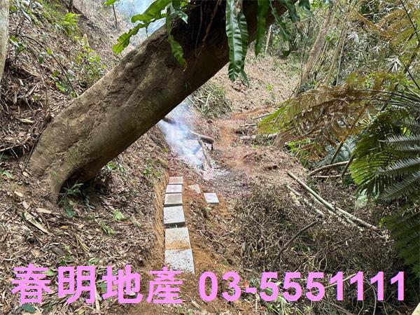 新竹關西農地-0