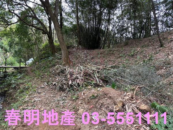 新竹關西農地-3