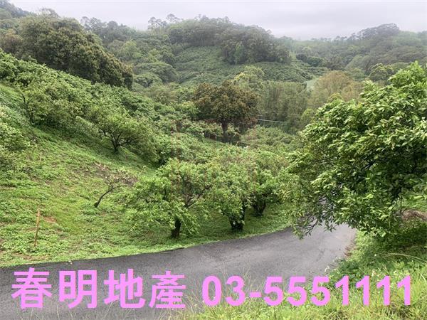 新竹峨眉農地-3