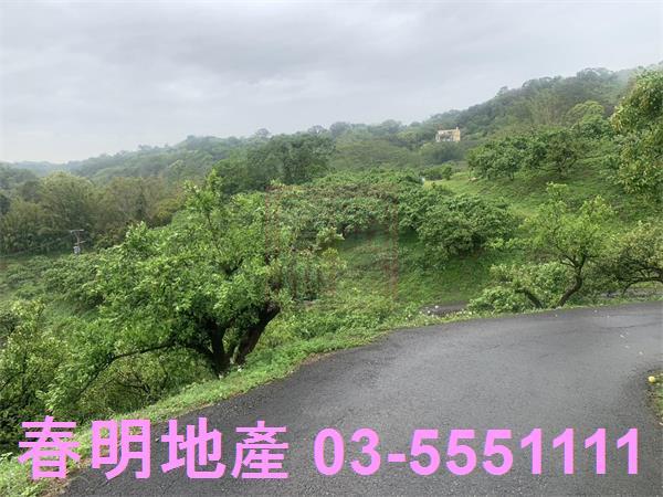 新竹峨眉農地-6
