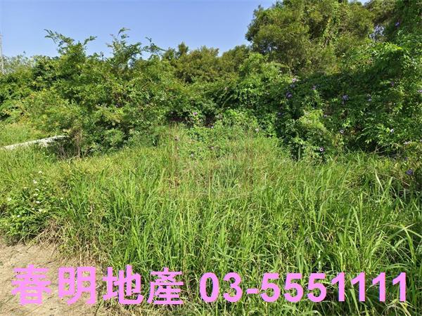 湖口農地-12