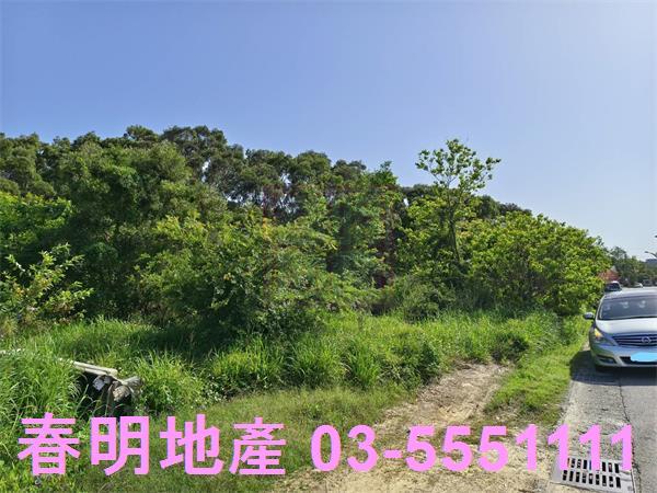 湖口農地-8