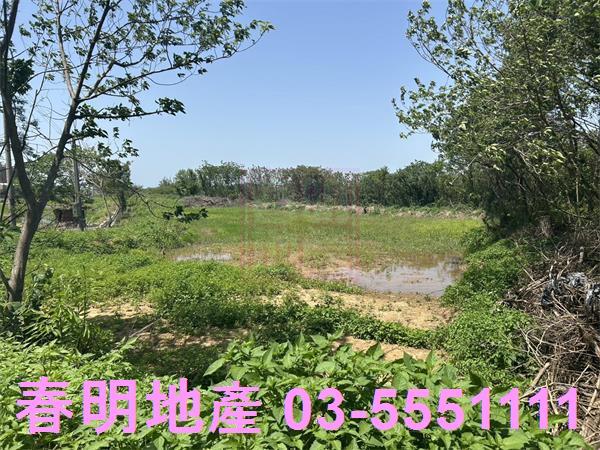 後龍農地-9