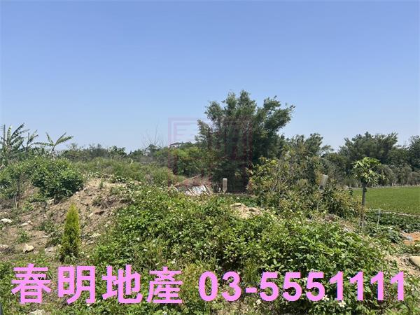 後龍農地-1