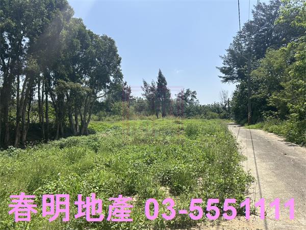 後龍農地-3