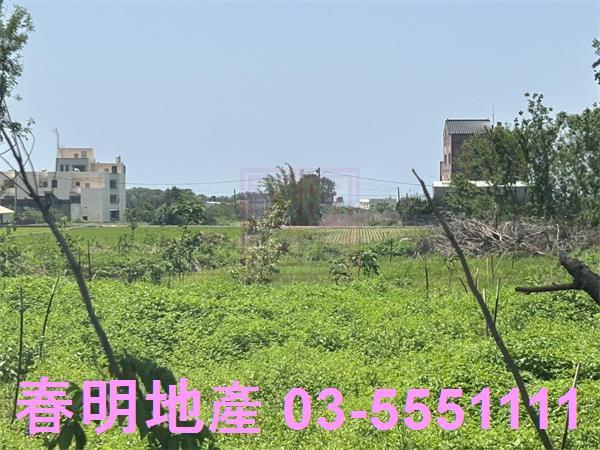 後龍農地-4
