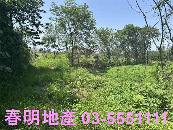 後龍農地-7