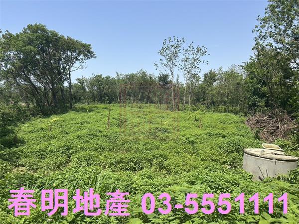 後龍農地-8