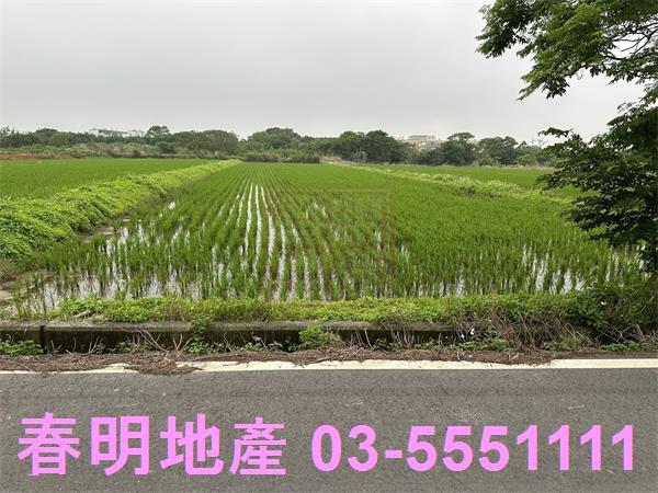 新豐農地-2