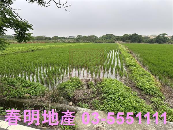 新豐農地-3