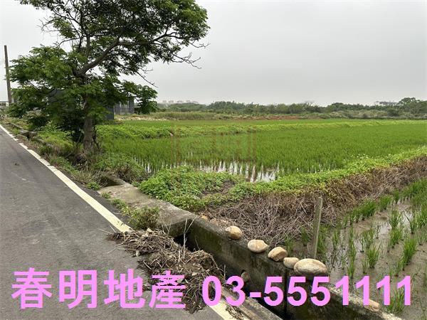 新豐農地-4