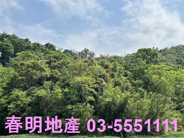 峨眉建地-4