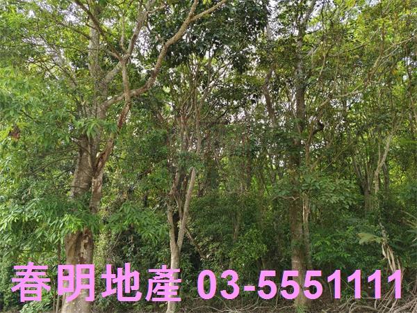 峨眉農地-0