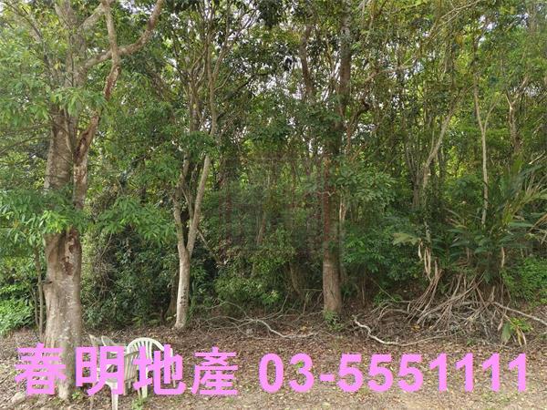 峨眉農地-3