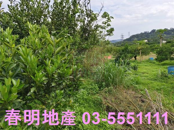 峨眉農地-4