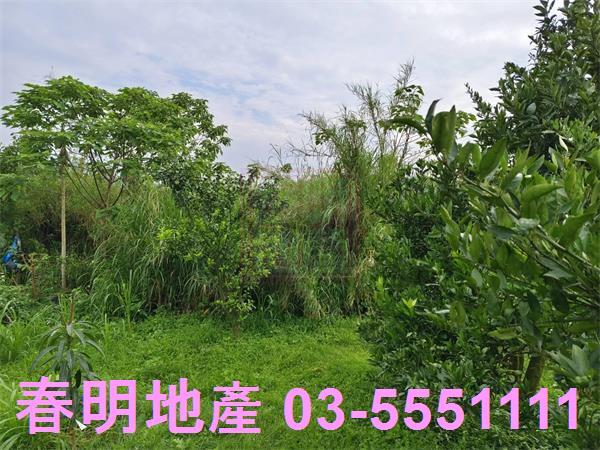 峨眉農地-5