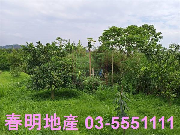 峨眉農地-6