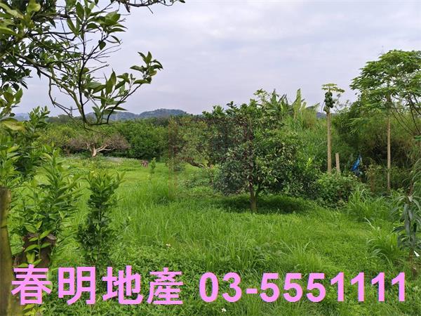 峨眉農地-7