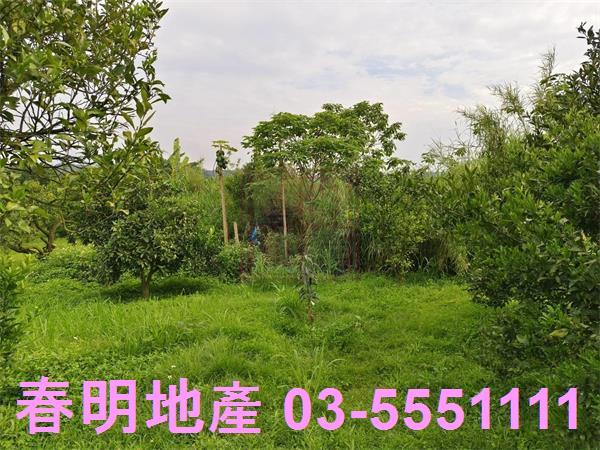 峨眉農地-8