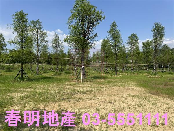 關西農地-0