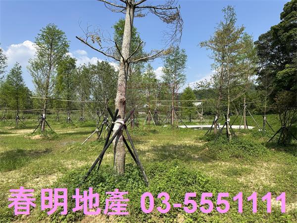 關西農地-1