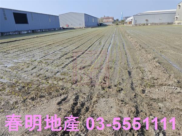 竹北農地-1