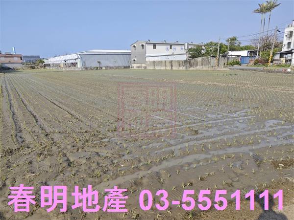竹北農地-3