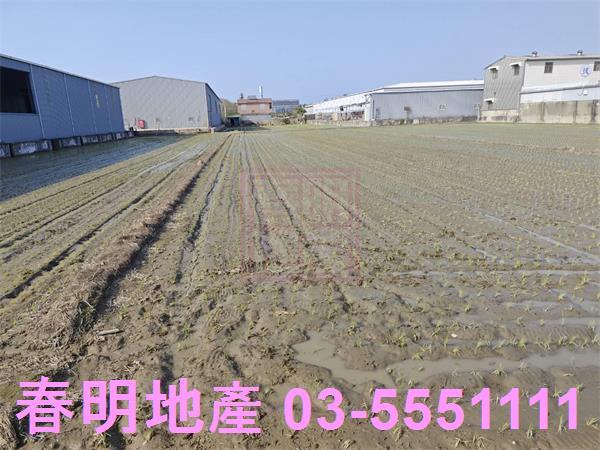 竹北農地-4