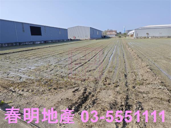 竹北農地-5