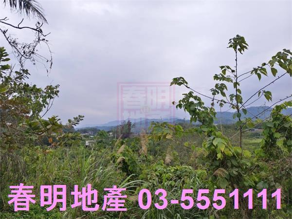 峨眉農地-3