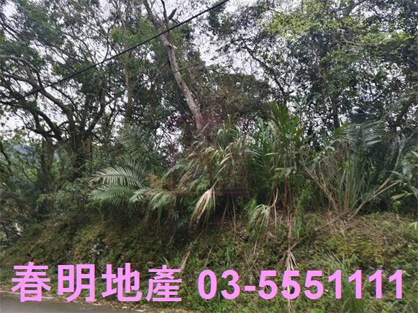 峨眉農地-5