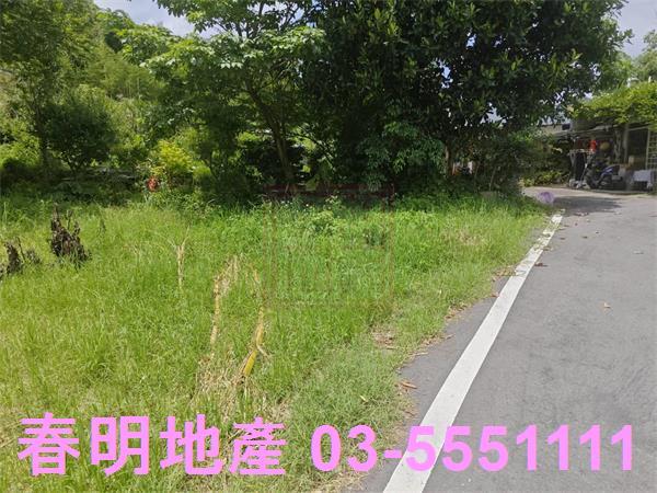 新竹建地-4