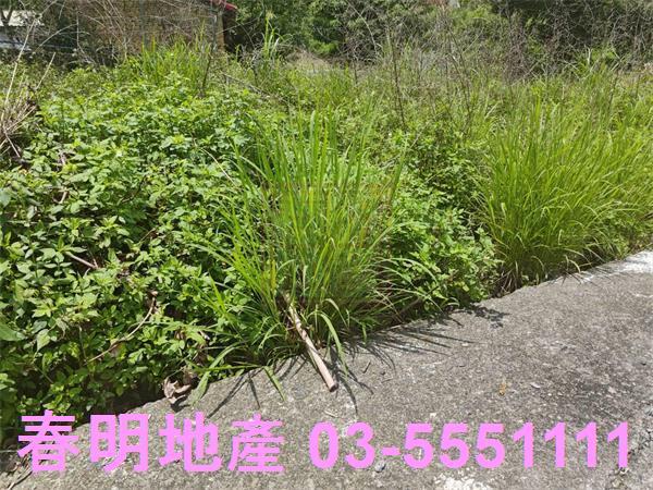 新竹建地-5