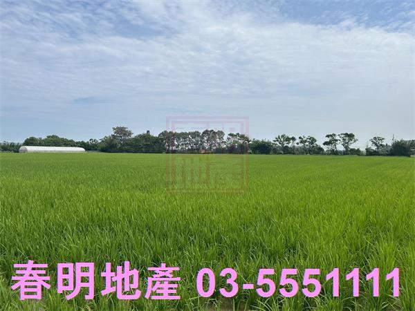 新竹農地-3